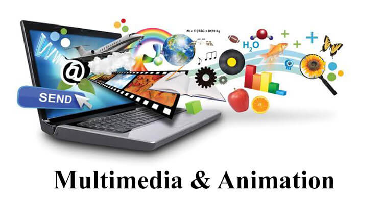 Multimedia & Animation Training