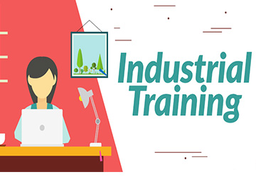 6 Month Industrial Training